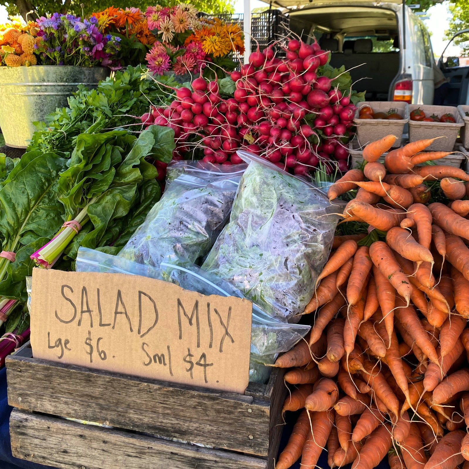 What will food insecurity look like?