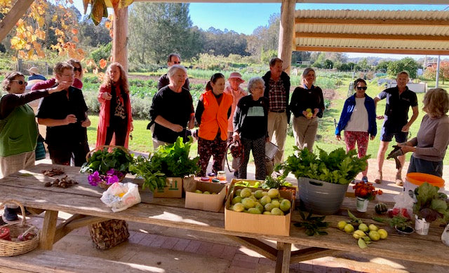 Food shares - an open letter to the community