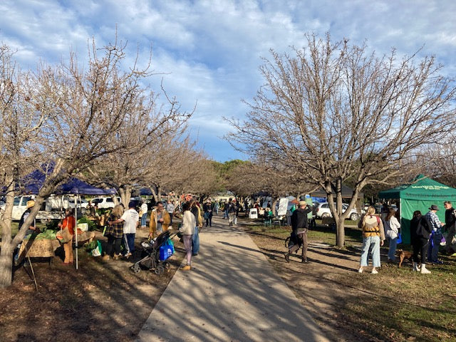 Winter at the Farmers Market | June 2023