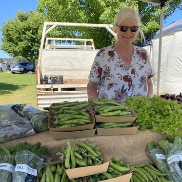 News From Stepping Stone Farm - November 2021