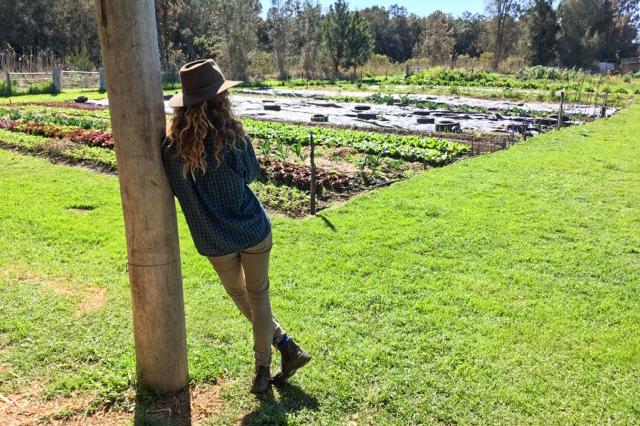 Moruya Community Garden opens