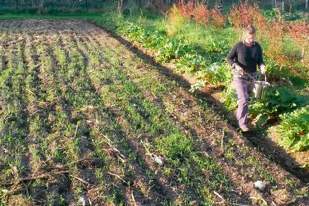 Leanne’s life: leaving the garden