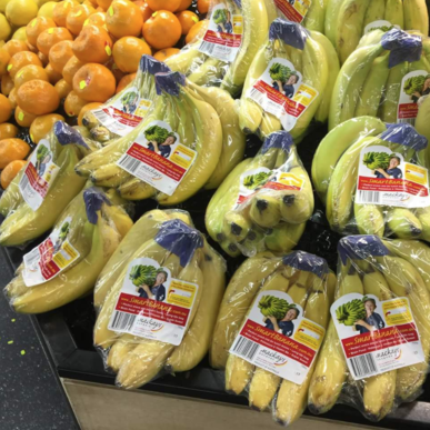 The plastic conundrum