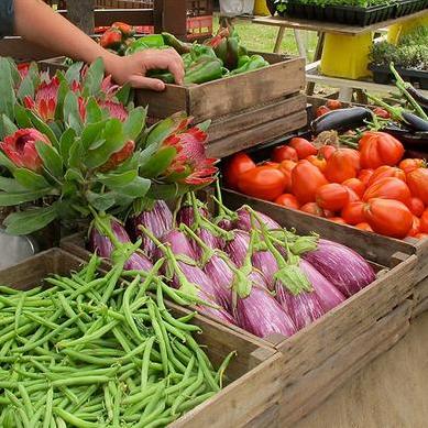 SAGE Farmers Market turns 5, the story so far