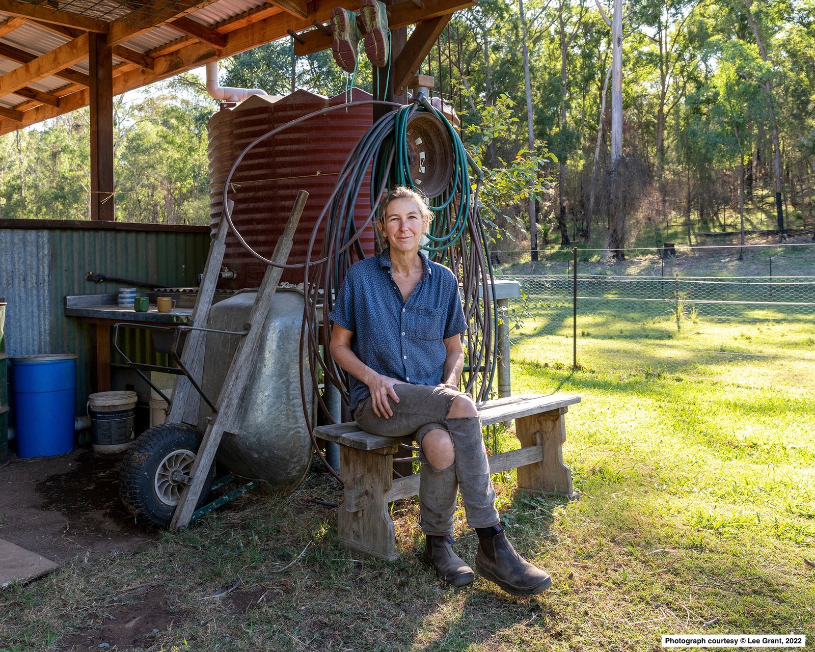 Backyard gardening   - February tips from Alison Walsh