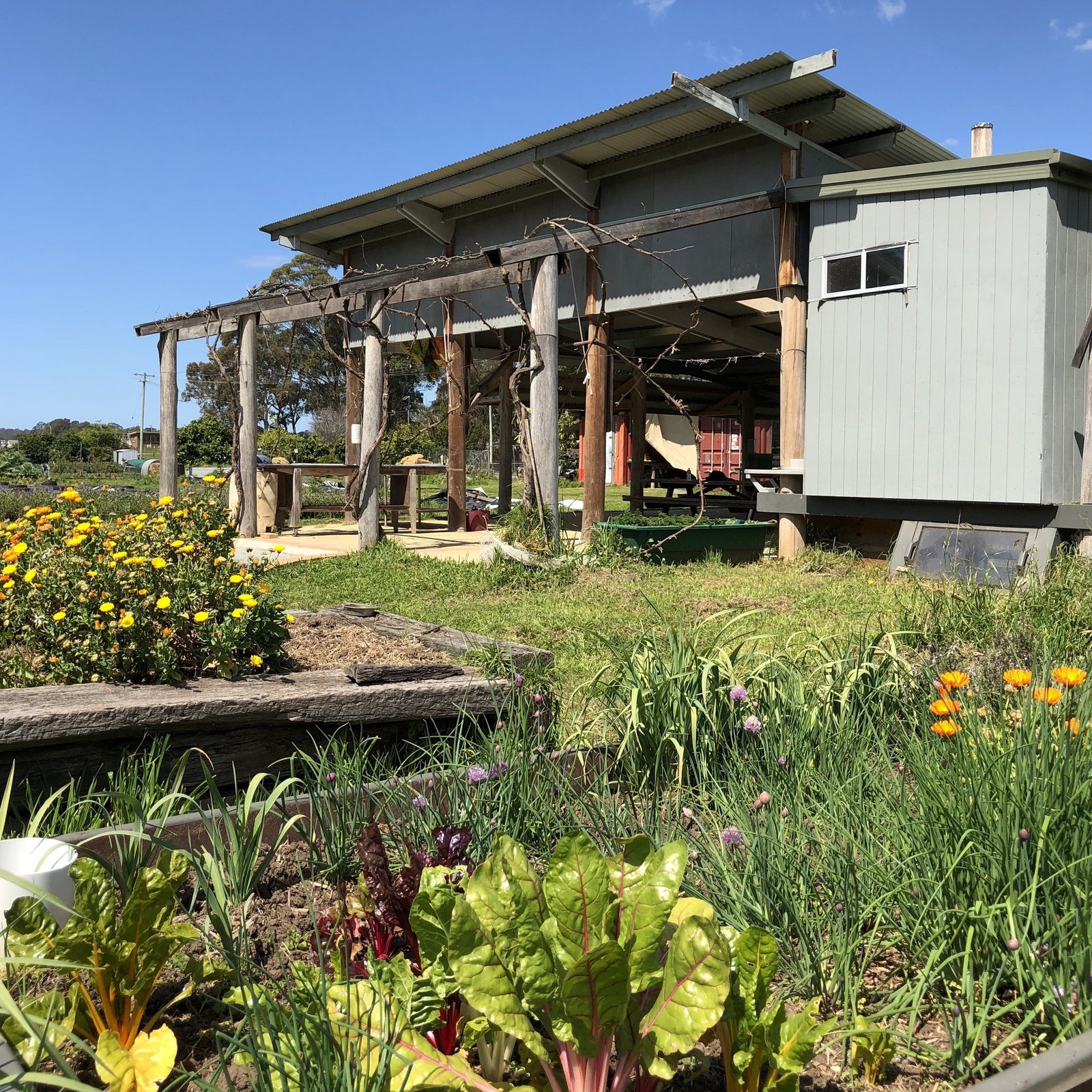 Newsletter November 2021