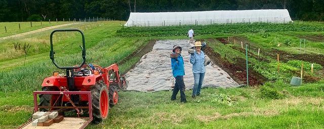 VISITORS to Stepping Stone Farm