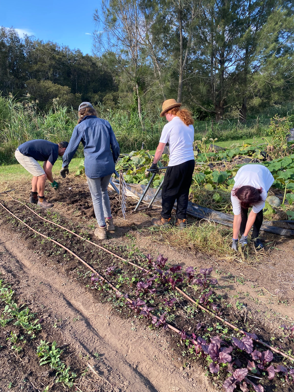 Buds4Life Thursday 20 March - Session 3 - Autumn growing: Preparing the Beds