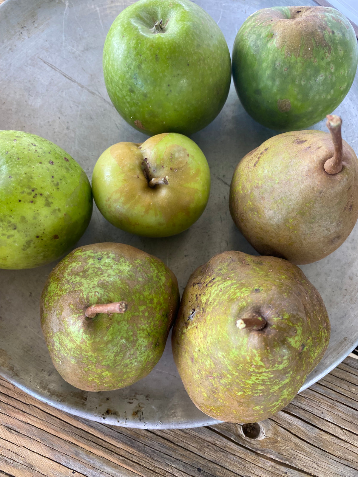 Buds4Life Thursday 20 March - Session 3 - Autumn growing: Preparing the Beds