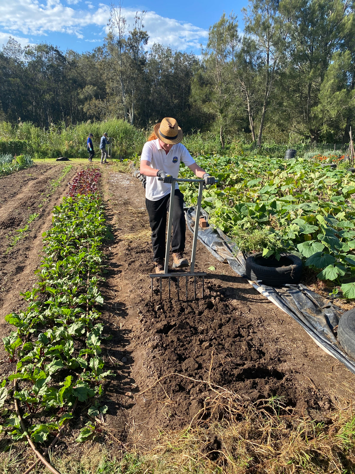 Buds4Life Thursday 20 March - Session 3 - Autumn growing: Preparing the Beds