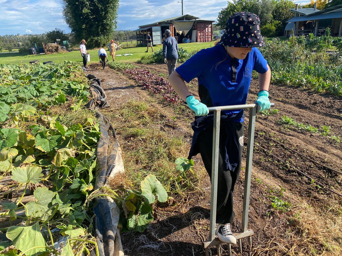 Buds4Life Thursday 20 March - Session 3 - Autumn growing: Preparing the Beds