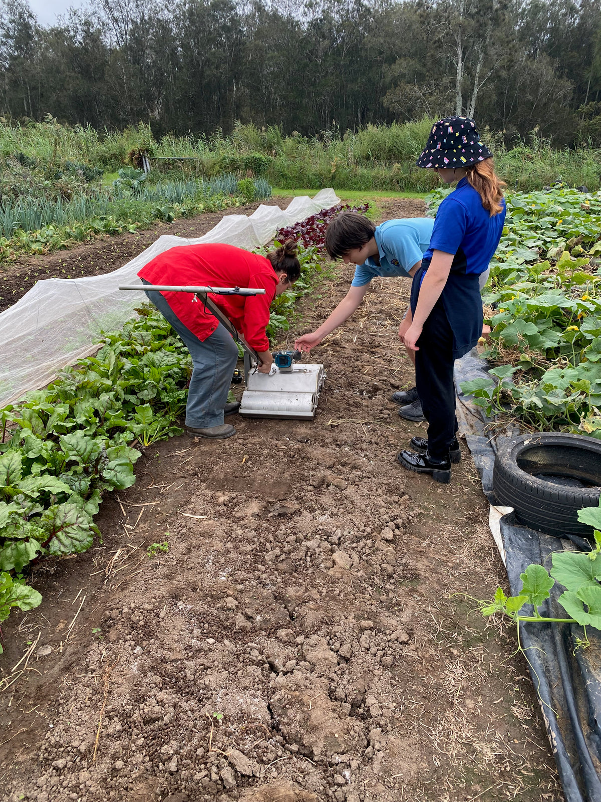 Buds4Life Thursday 27 March - Session 4 - Autumn growing: Tilling the soil and mulching the bed