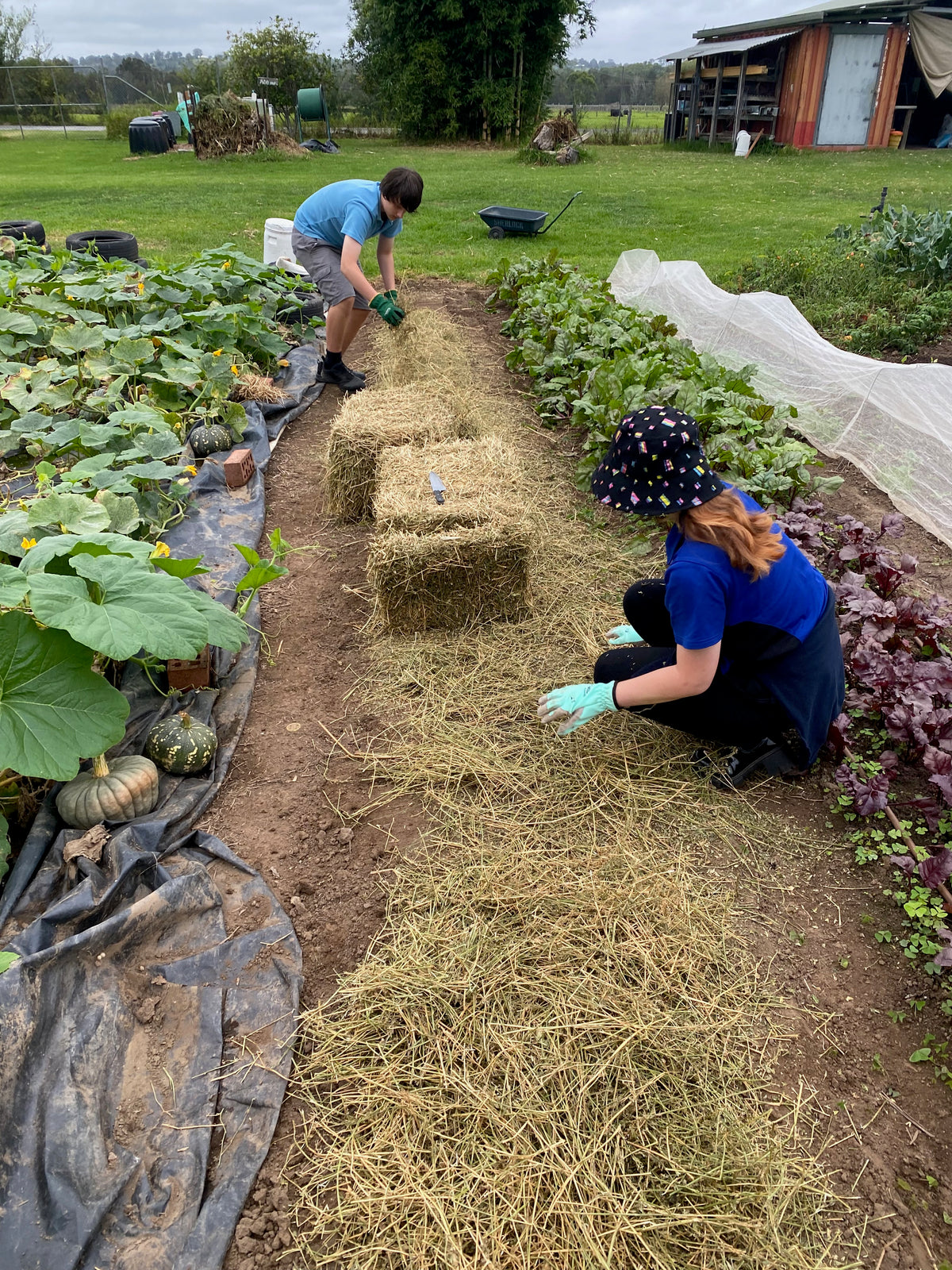 Buds4Life Thursday 27 March - Session 4 - Autumn growing: Tilling the soil and mulching the bed
