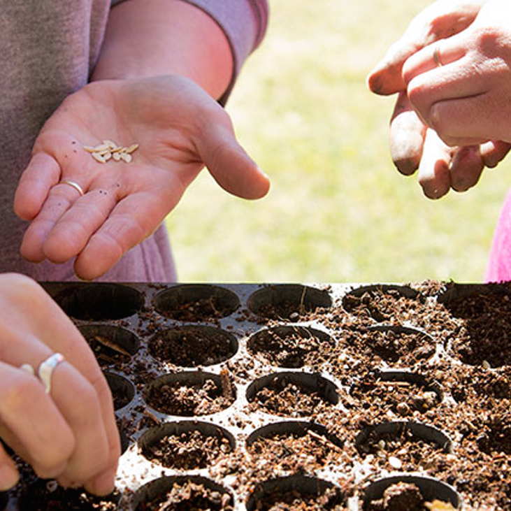 Seed Savers