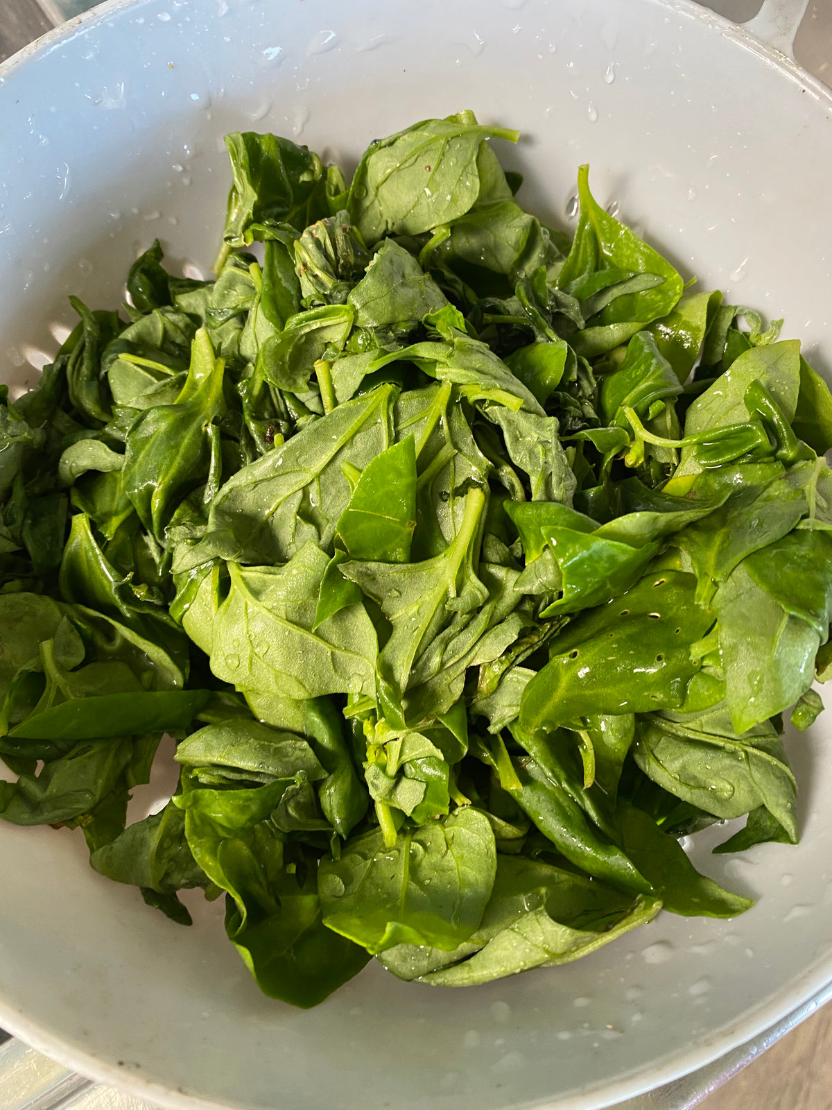 Buds4Life Thursday 6 March - Session 1 - Wild foraging: Warrigal greens veggie rolls