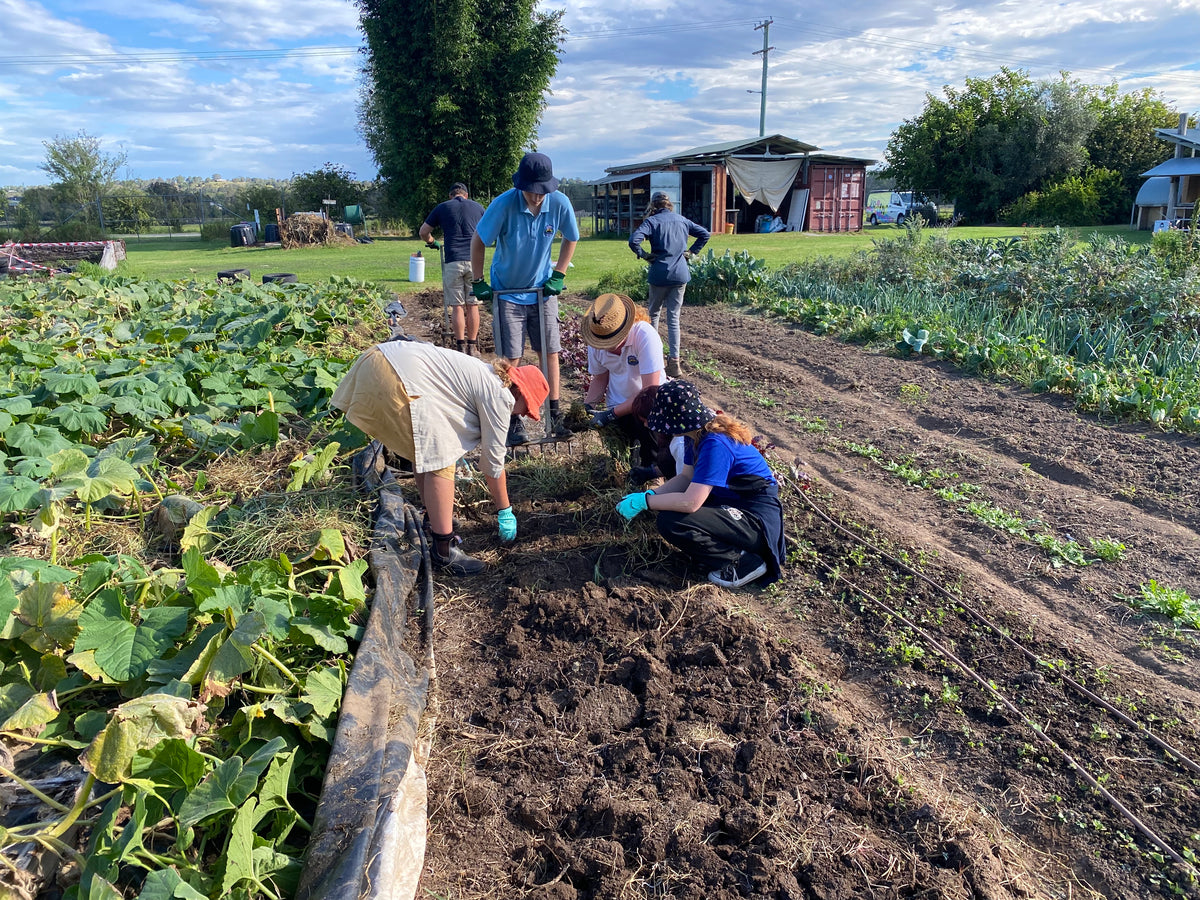 Buds4Life Thursday 20 March - Session 3 - Autumn growing: Preparing the Beds