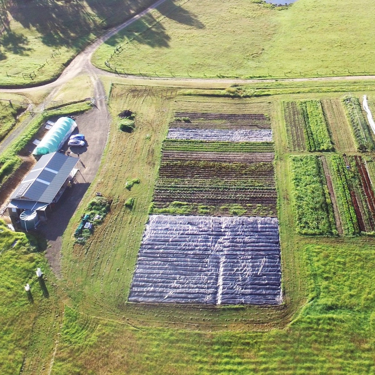 Stepping Stone Farm