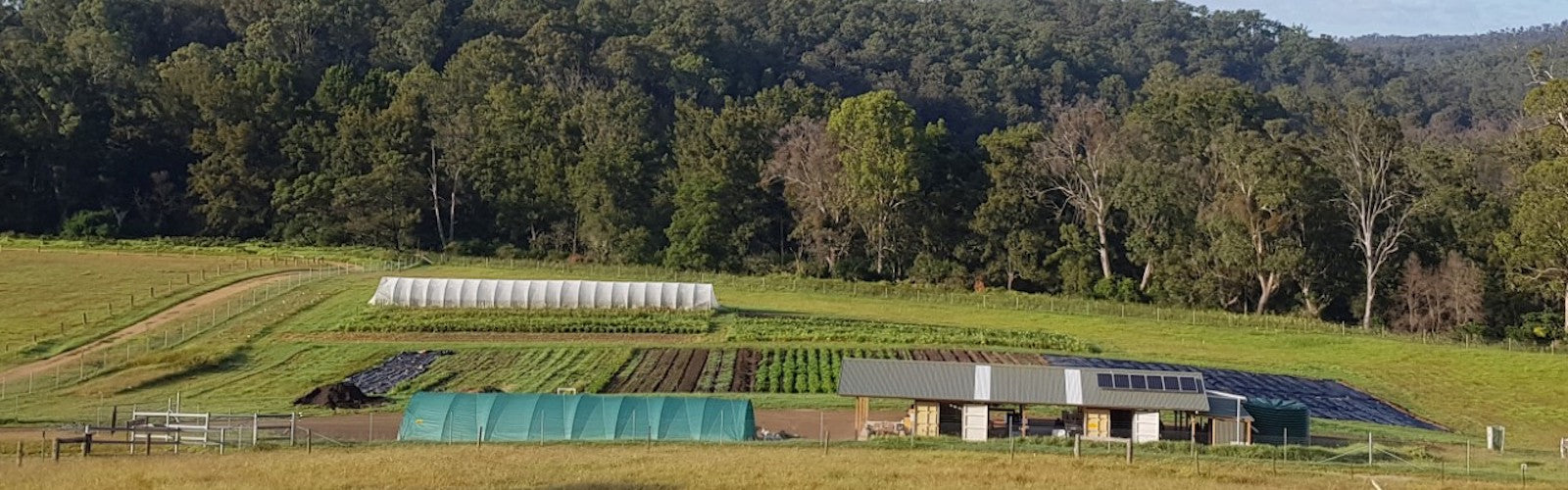 Stepping Stone Farm