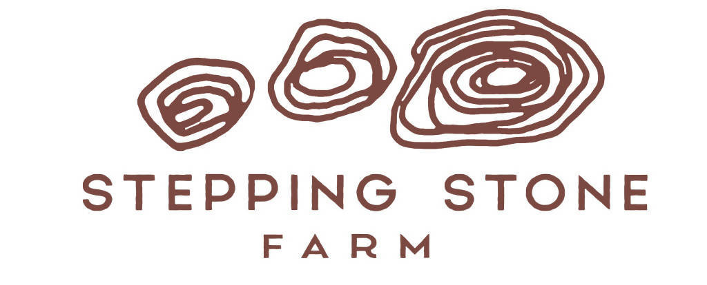 Microgreens - Health Mix