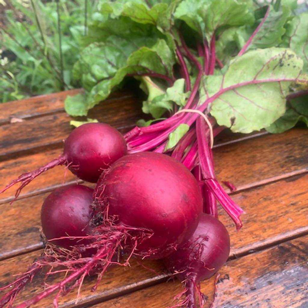 Beetroot (bunch)