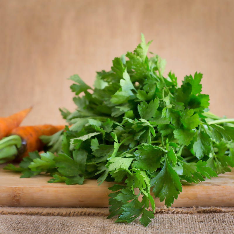 Parsley ( Flat leaf, bunch)