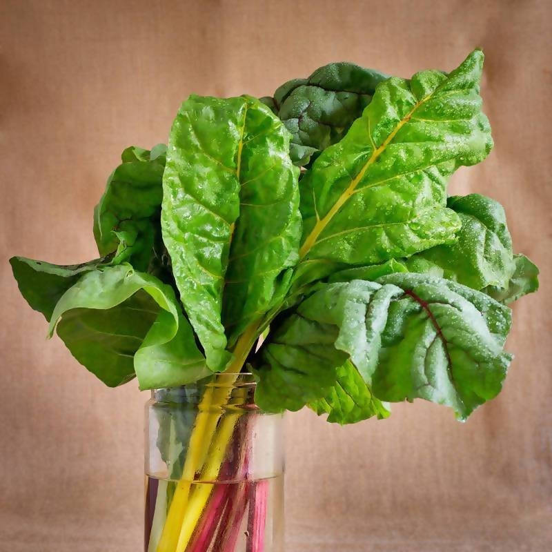 Rainbow Chard