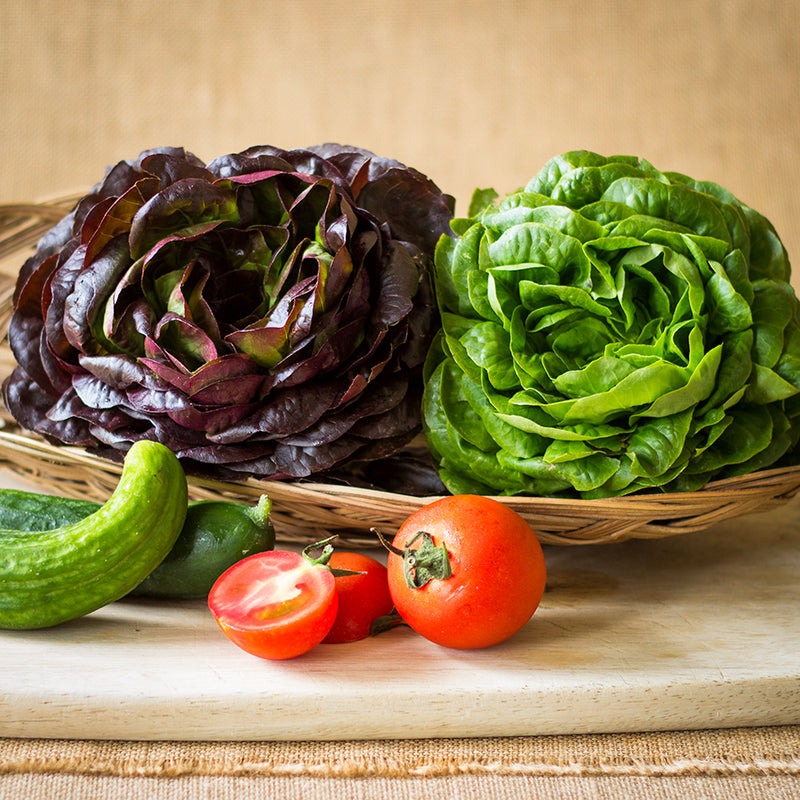 Lettuce (Butterhead; green; head)