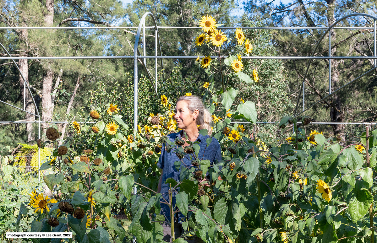 Backyard Veggie Gardening - Planting Workshop 25